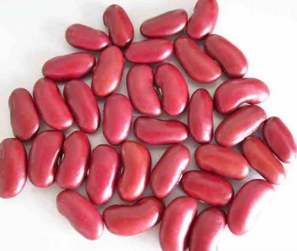 RED-KIDNEY-BEANS-600x508-1.jpg