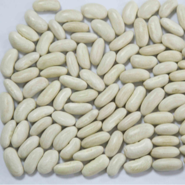 White-Kidney-Beans-Long-shape-.png