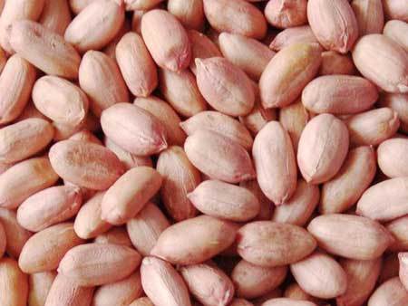 peanut-kernel-263.jpg